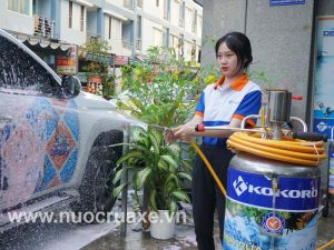 cau-tao-binh-bot-tuyet-rua-xe (1)